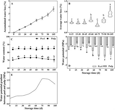 Osmolytes and CsAQP expression jointly influence water physiology in the peel and pulp of orange (Citrus sinensis (L.) Osbeck) fruit during postharvest water loss